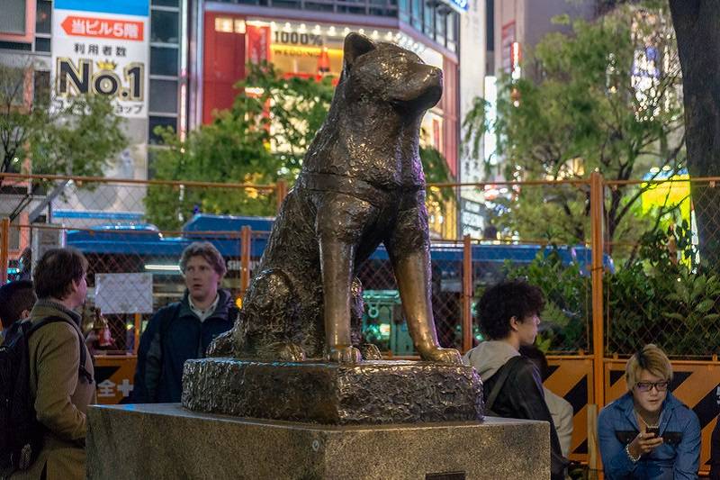 Hachiko-Statue, Tokio