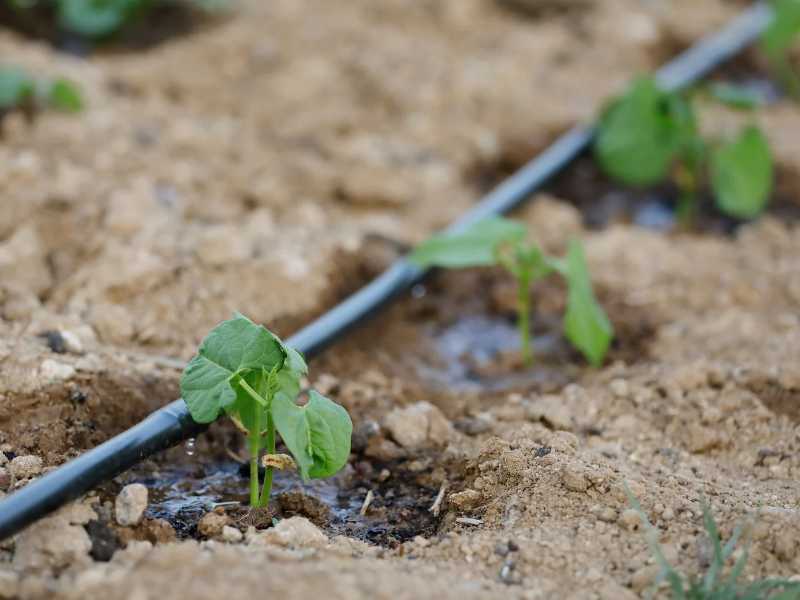 arbeitet mit geringem Druck und verteilt Wasser